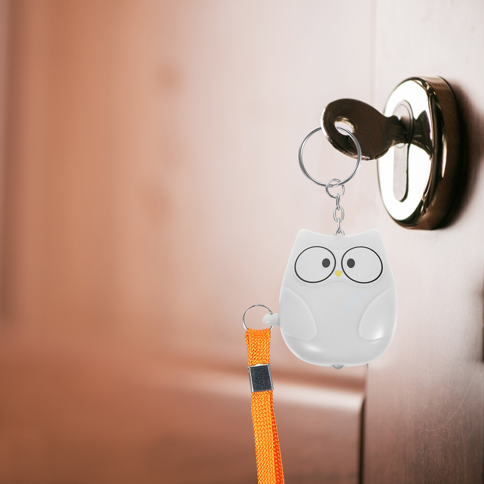 Owl Personal Alarm for Women K - Personal Alarm Keychain 评论和价格